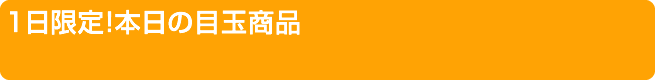 title_day_sale