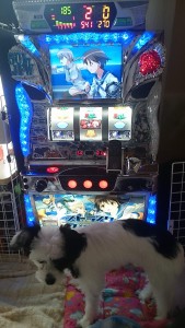 hiroto77 さんの投稿