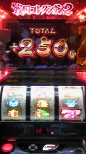 まろん さんの投稿