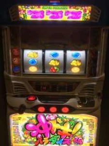 CATS さんの投稿