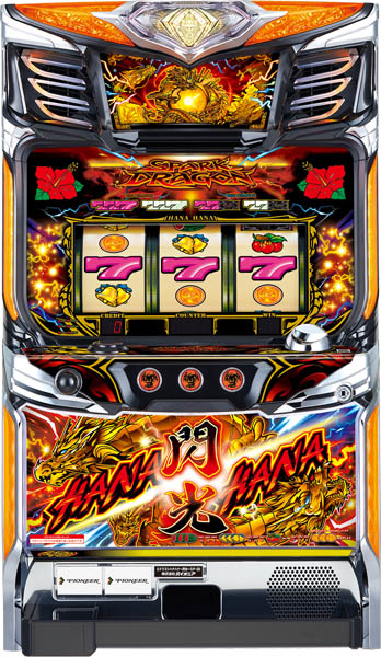 ドラゴンハナハナ~閃光~-30