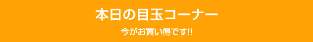 本日の目玉商品